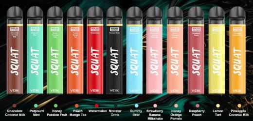 VEIIK Squat Mesh 1800 zaciągnięć jednorazowy długopis vape 10szt PF00R54 VEIIK Vape Price wiele smaków